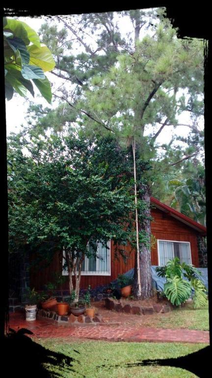 Tucan Hostel ปูแอร์โต อิกัวซู ภายนอก รูปภาพ