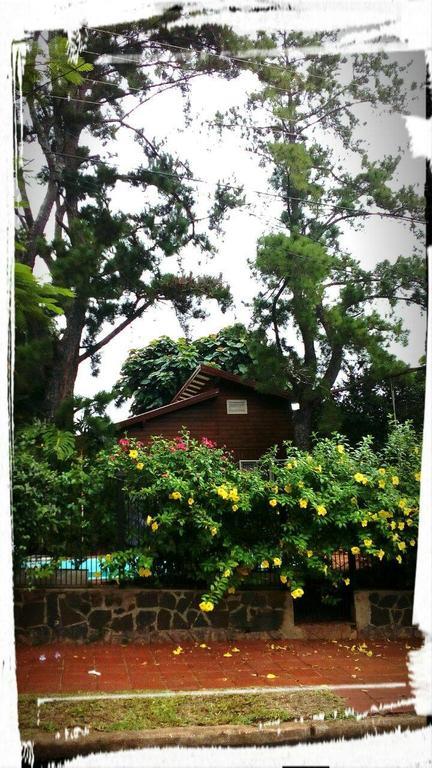 Tucan Hostel ปูแอร์โต อิกัวซู ภายนอก รูปภาพ